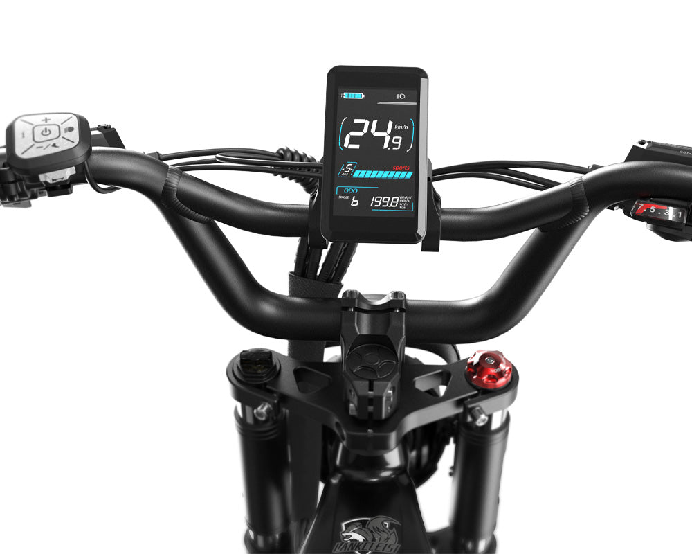 Lankeleisi RX800 Plus 20" Fatbike 960Wh vollgefedertes SUV-E-Bike