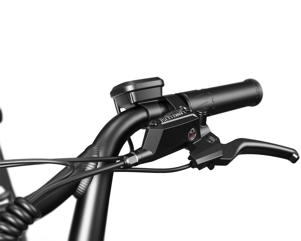 Lankeleisi RX800 Plus 20" Fatbike 960Wh vollgefedertes SUV-E-Bike